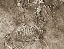世界上发现的第一个半人马骨架