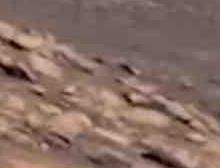 美国宇航局将揭开火星文明曾经的繁荣昌盛