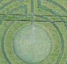 Hod Hill, nr Hanford, Dorset, United Kingdom. Reported 1st June 2014
