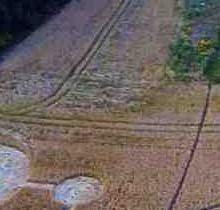 The Forests Way, Nr Roydon, Essex, United Kingdom. Reported 17th July 2014