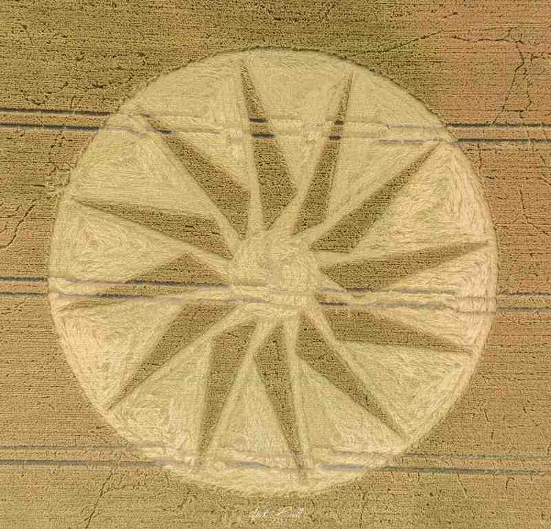 2019麦田怪圈图片