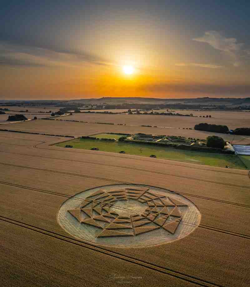 2022麦田怪圈图片