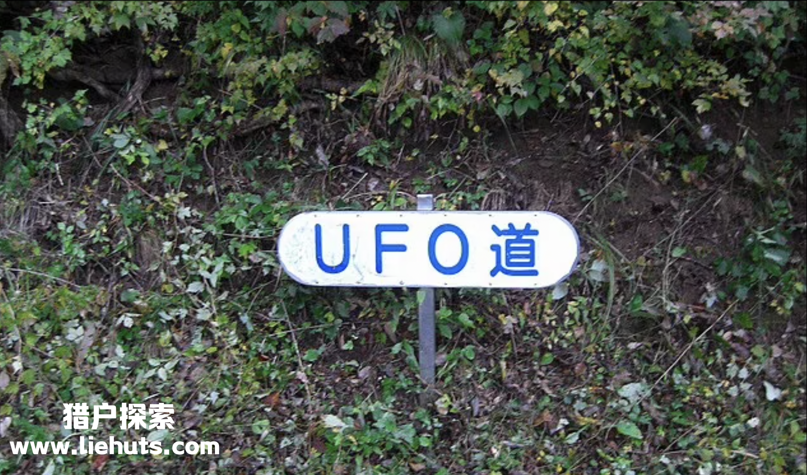 日本UFO研究