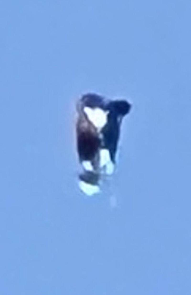 近距离查看UFO