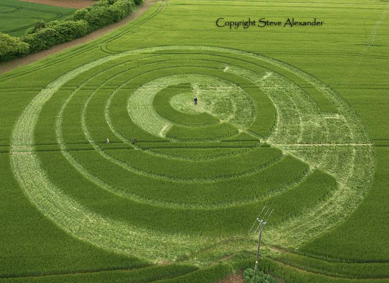 2012麦田怪圈