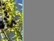 近距离拍摄小光球UFO出现在飞机上方