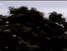 虚假UFO视频类型参考