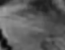 1983拍摄的木卫一图像触目惊心，NASA知道的太多了！