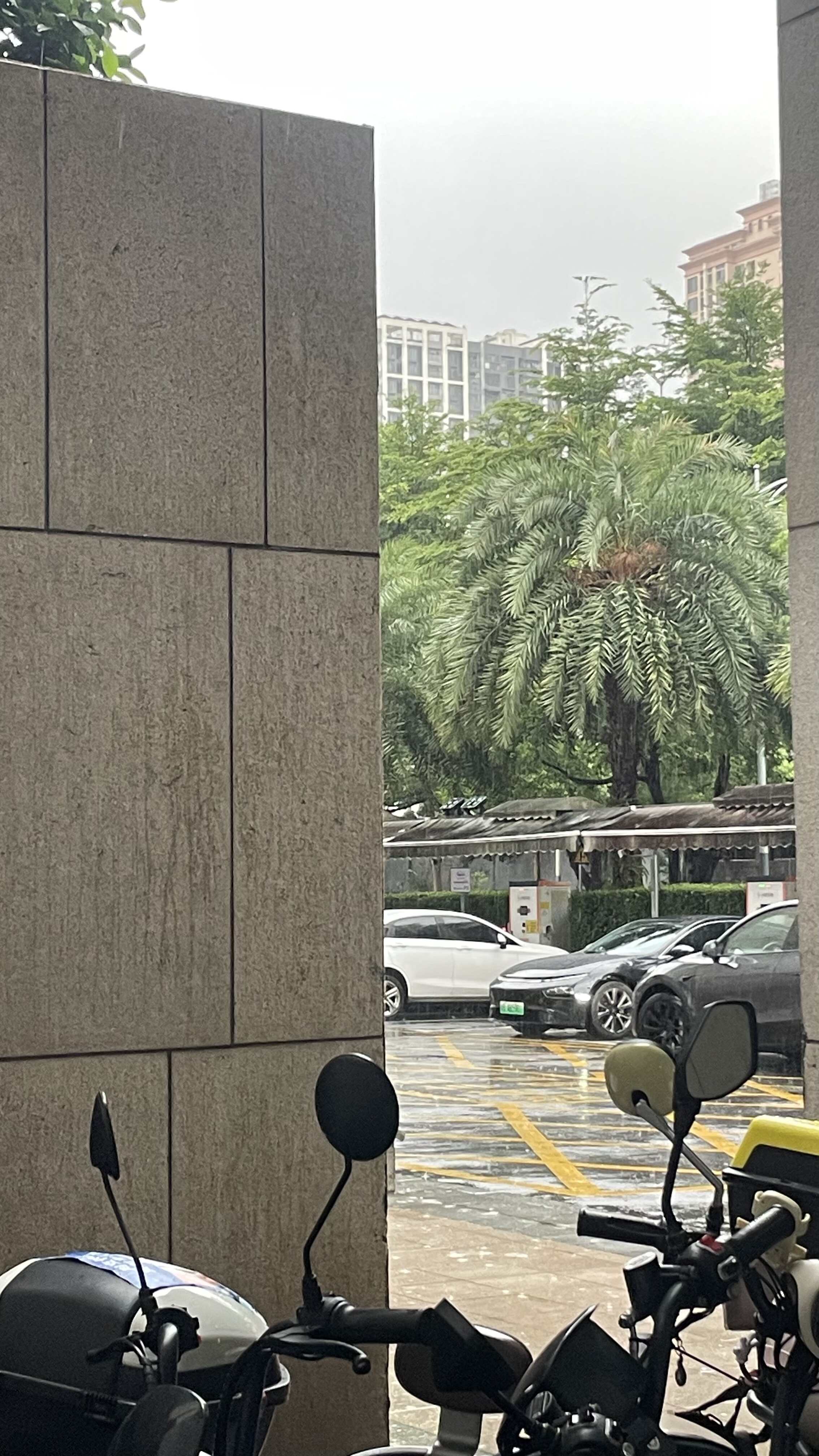 我真的服了深圳这天气