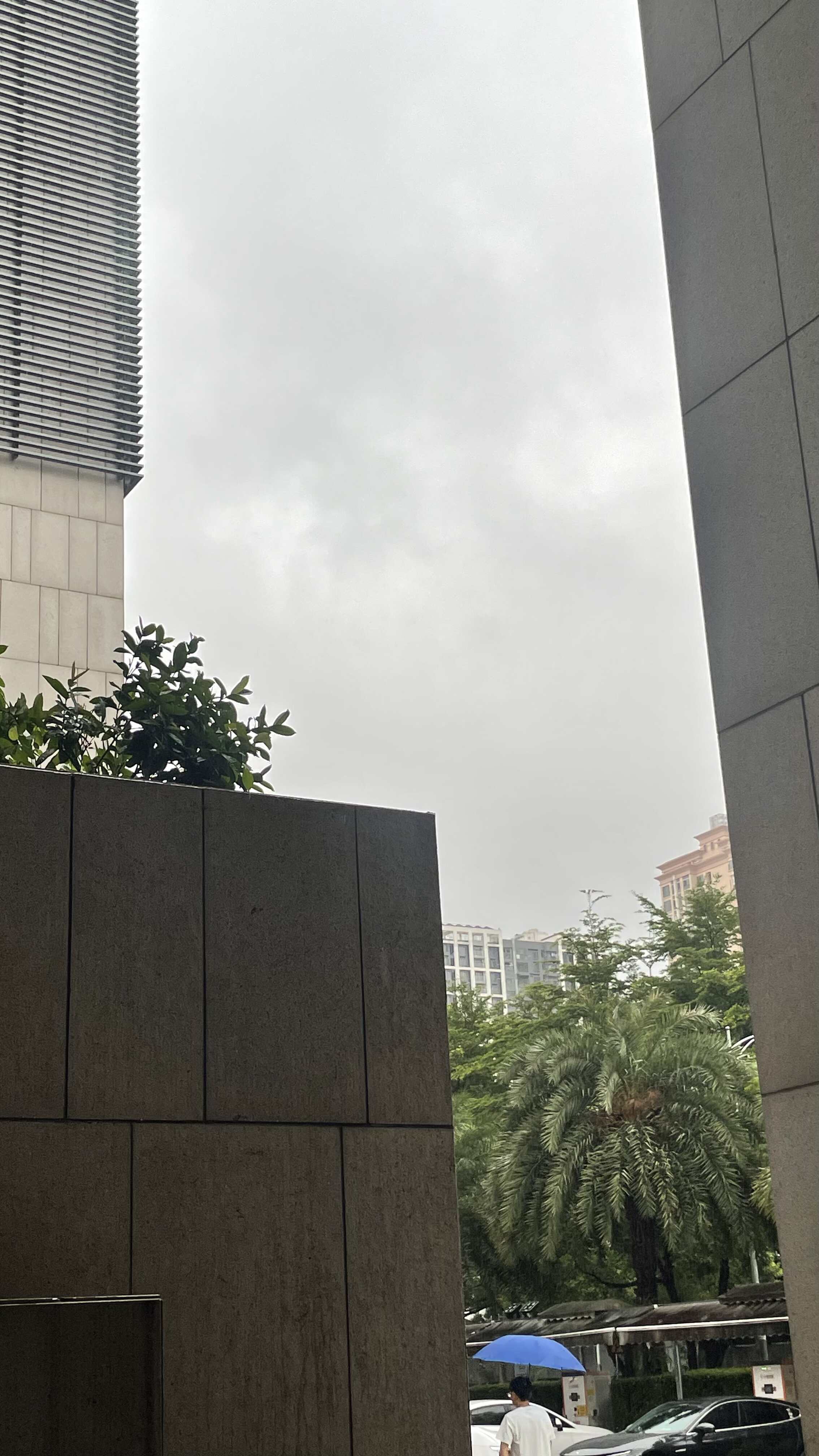 我真的服了深圳这天气