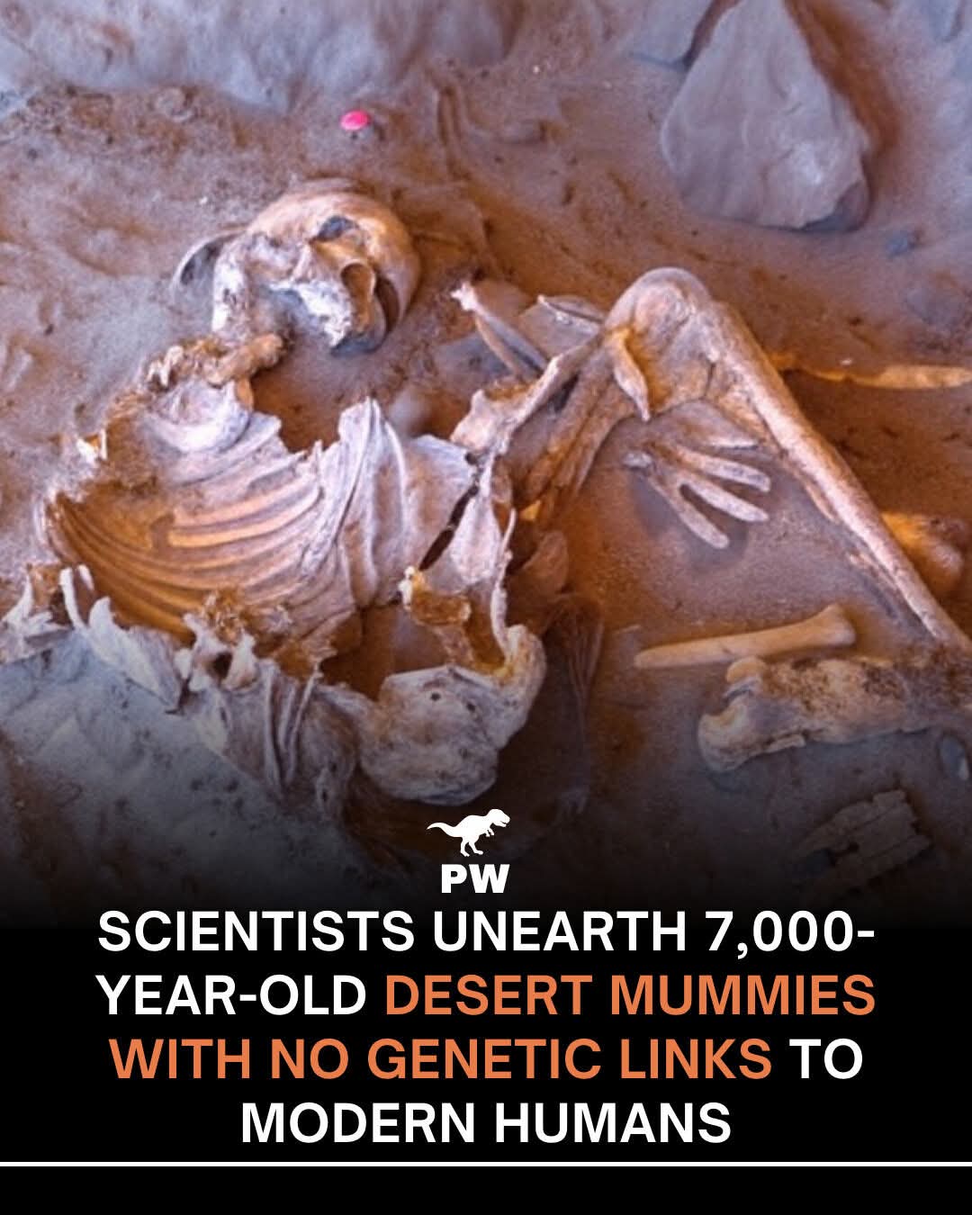 科学家发现了有 7000 年历史的木乃伊，其 DNA 揭示了与我们不同的血统