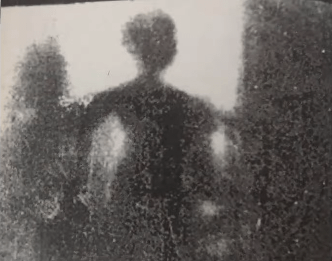 外星人照片，小灰人真实照片