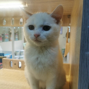 地球男人