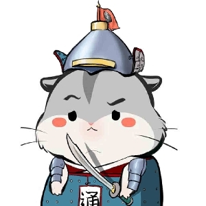 黑冰科技录屏组长
