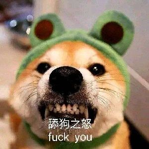 史提芬汪