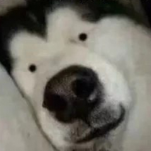 放下那个男的