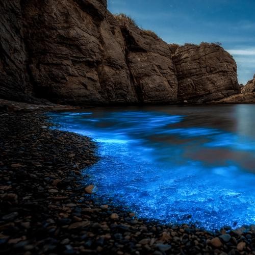 湖南小昭
